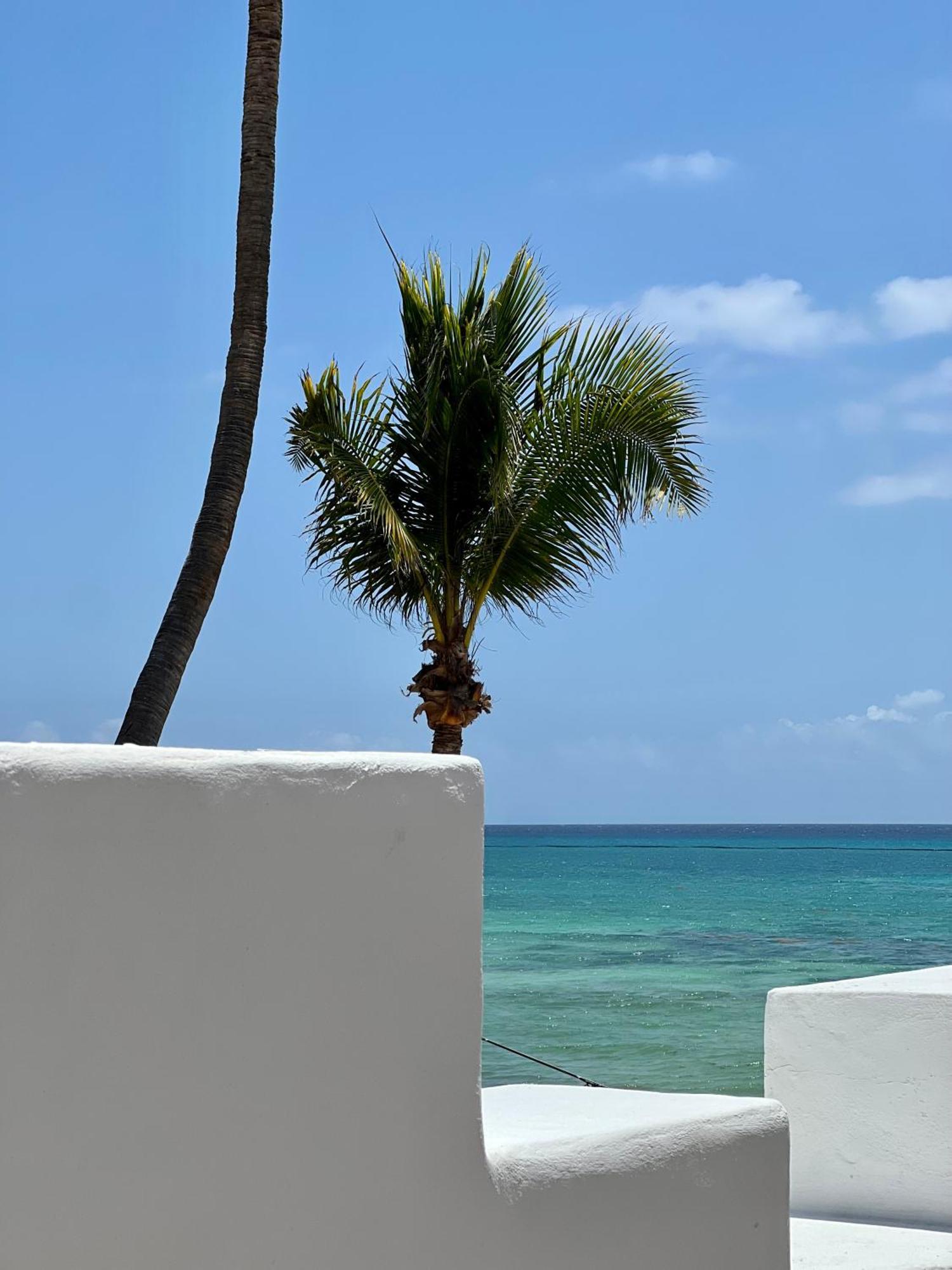 Pelicano Inn Playa Del Carmen - Beachfront Hotel Exterior photo