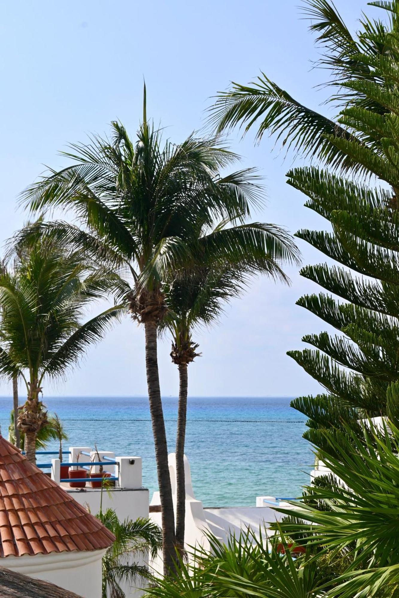 Pelicano Inn Playa Del Carmen - Beachfront Hotel Exterior photo