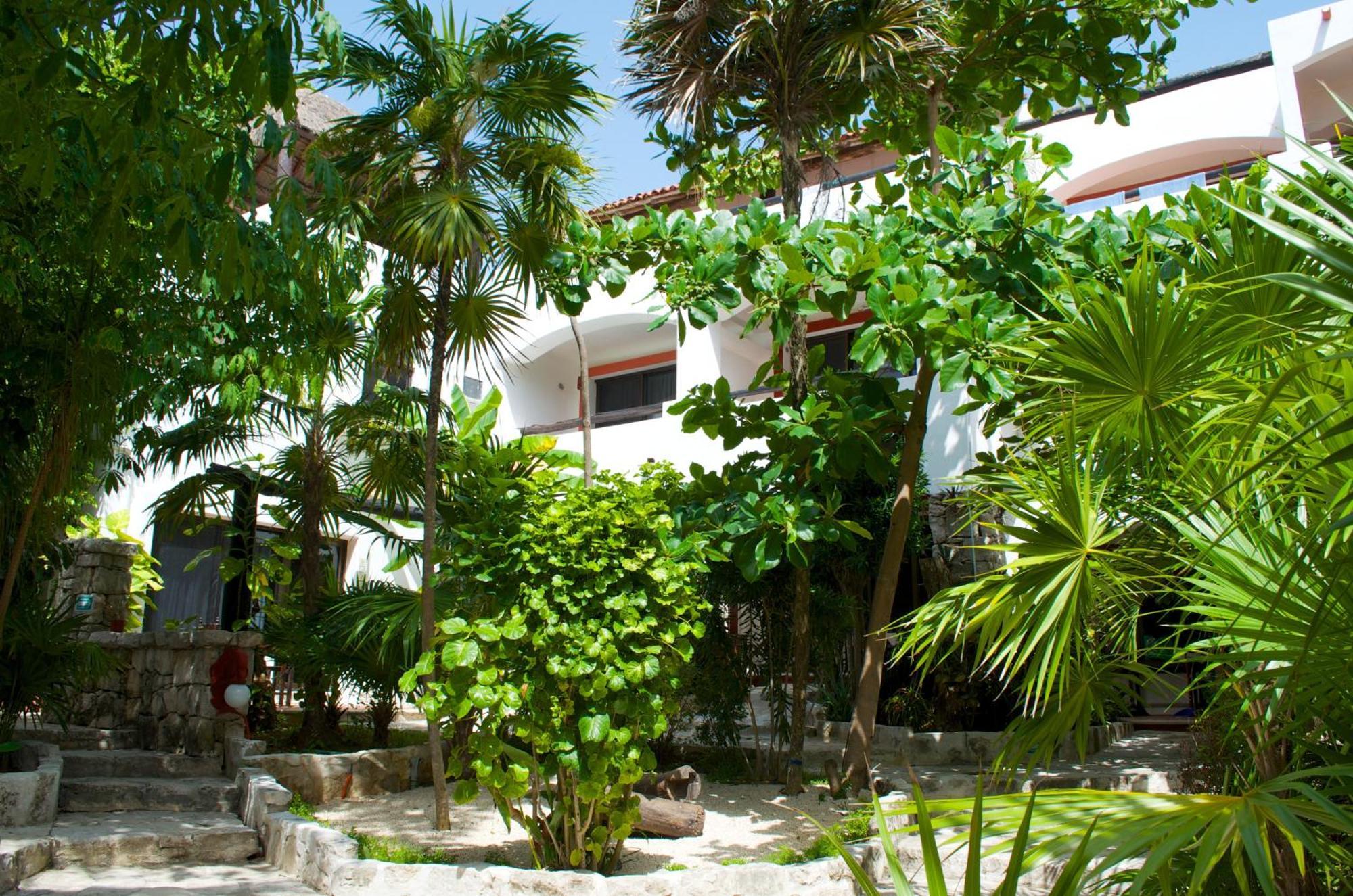 Pelicano Inn Playa Del Carmen - Beachfront Hotel Exterior photo